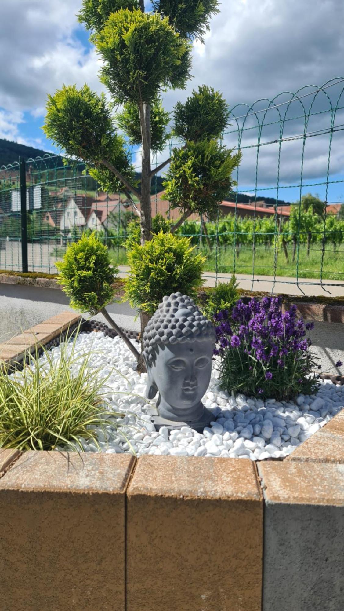 Au Jardin D'Edel Gites Centre Alsace Dieffenthal Buitenkant foto